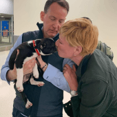 Woman kissing her new puppy at receival at the airport