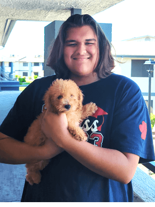 Miniature Bull Terrier Puppies for Sale | MawooPets.com