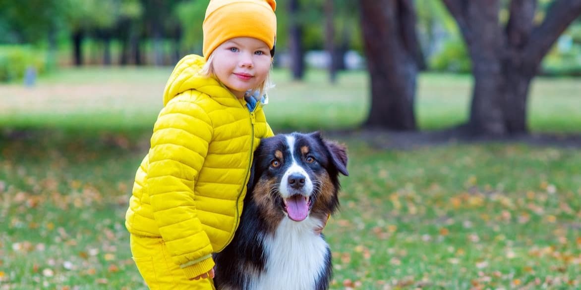 Are Australian Shepherds Good With Kids? A Parent's Guide