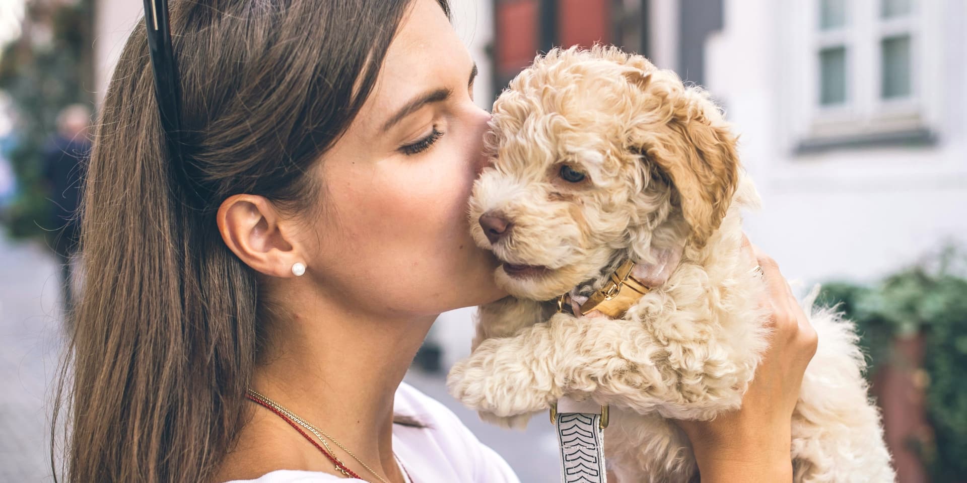 Is Goldendoodle a Good Family Dog?