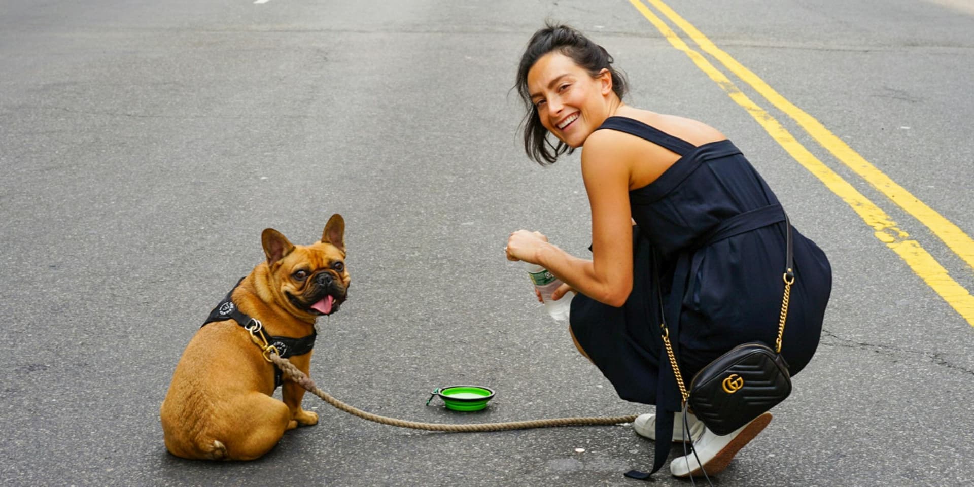 Raising a Frenchie Puppy: Daily Routine, Training & Care
