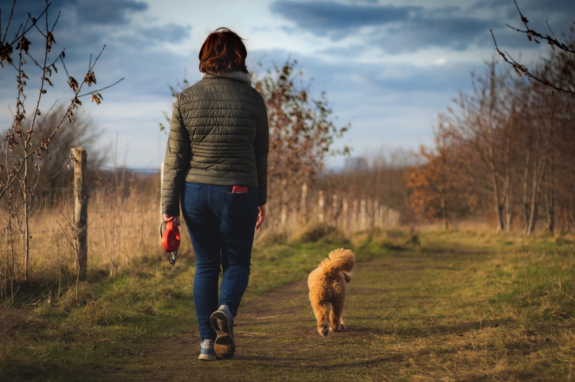 Cavapoo vs. Cockapoo: Choosing Your Perfect Poodle Mix