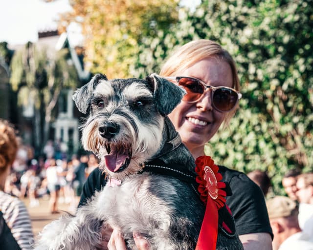 Getting Familiar with the Westminster Dog Show