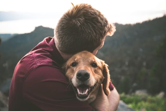 Celebrate Father’s Day with the Gift of a Puppy