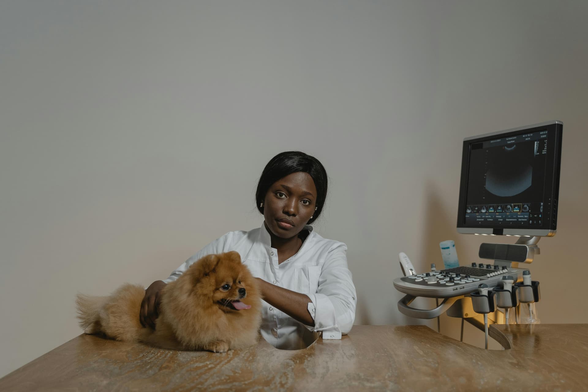 Protecting New Puppy Health