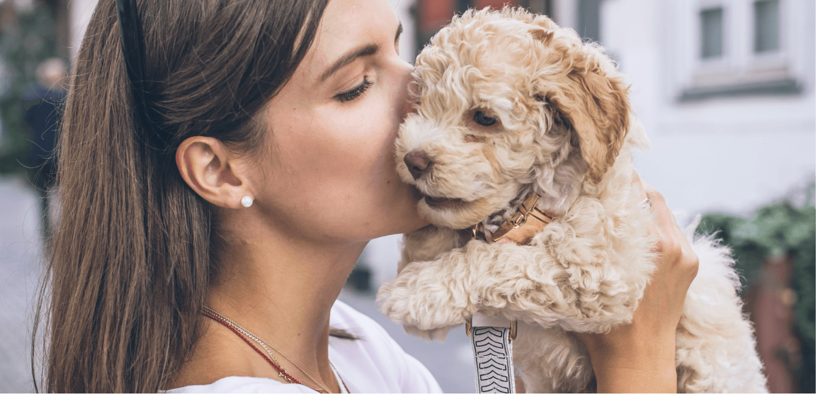 Pros and Cons of Small Dog Breeds