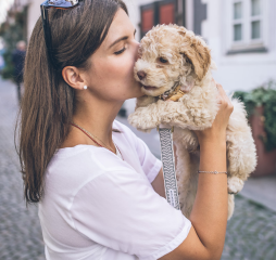  Woman hugging and kissing her toy poodle. 