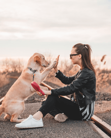 Woman and dog giving each other high five