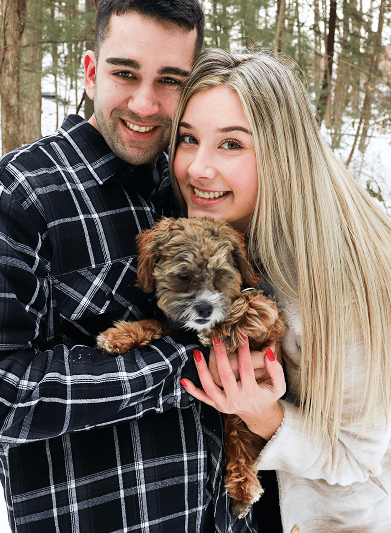 The cutest chocolate Havapoo puppy walking through a field of flowers.