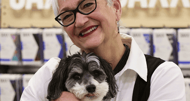 The cutest chocolate Havapoo puppy walking through a field of flowers.