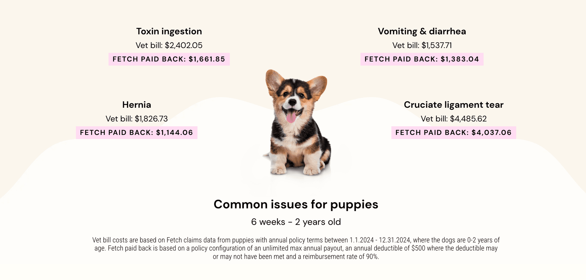 Fetch Pet common issues