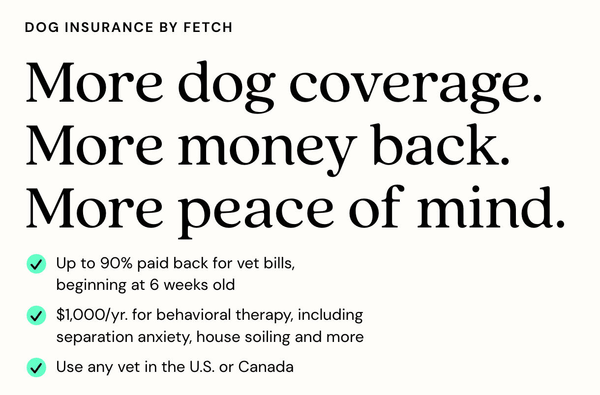 Fetch Pet Insurance Logo