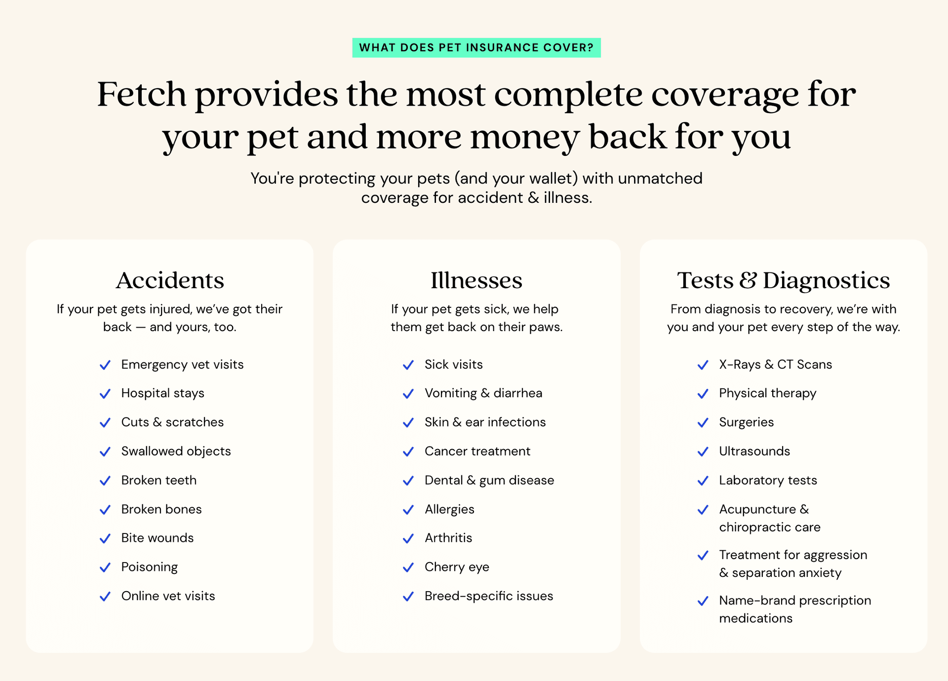Fetch Pet Insurance Logo