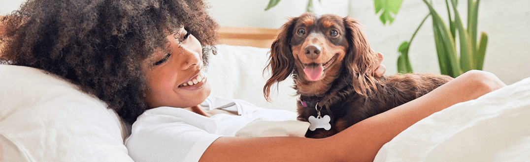 Lady lying on bed smiling with a brown dachshund puppy on her stomach with its tongue out