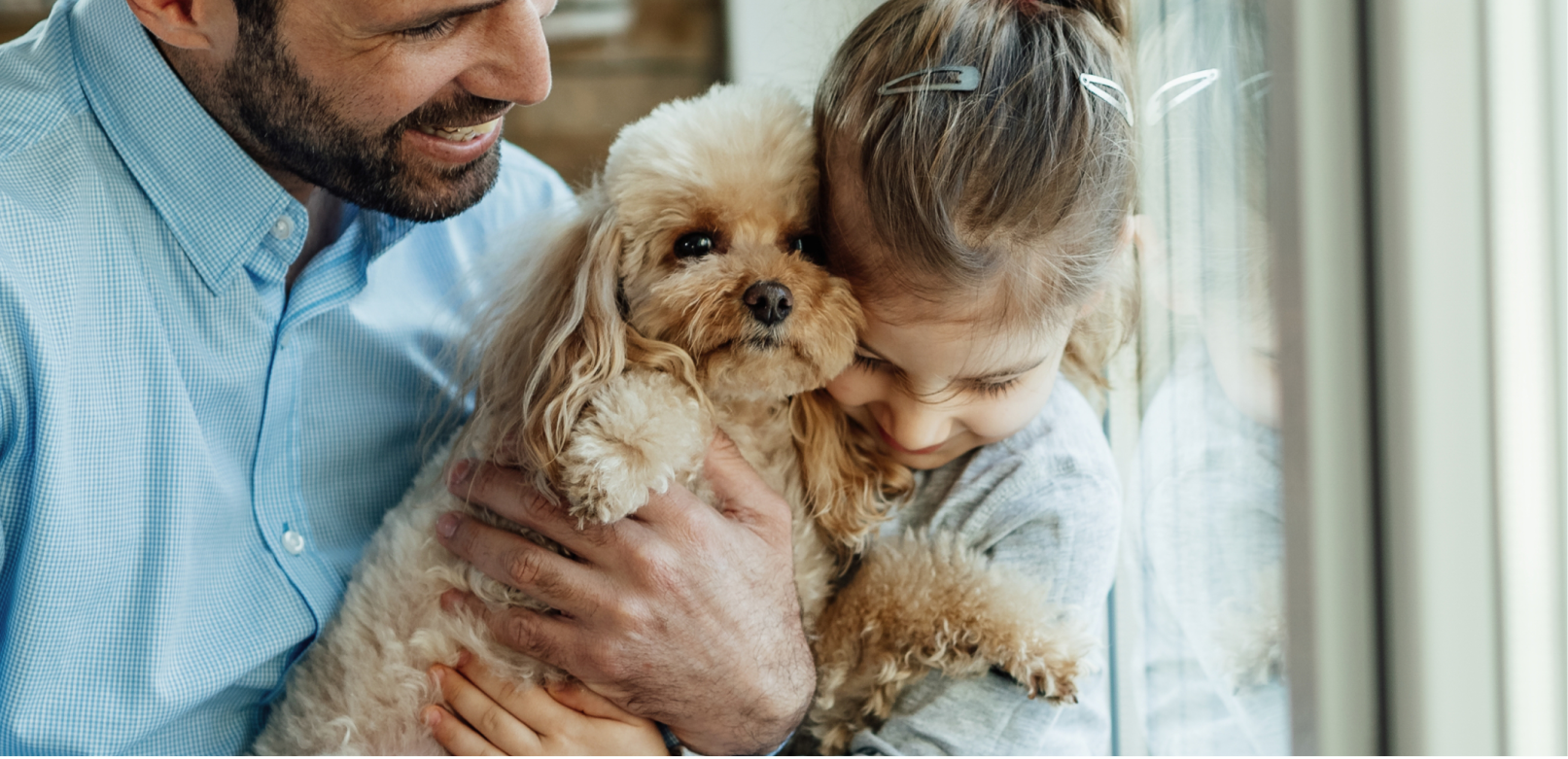 Choosing the Best Dog for a Special Needs Child