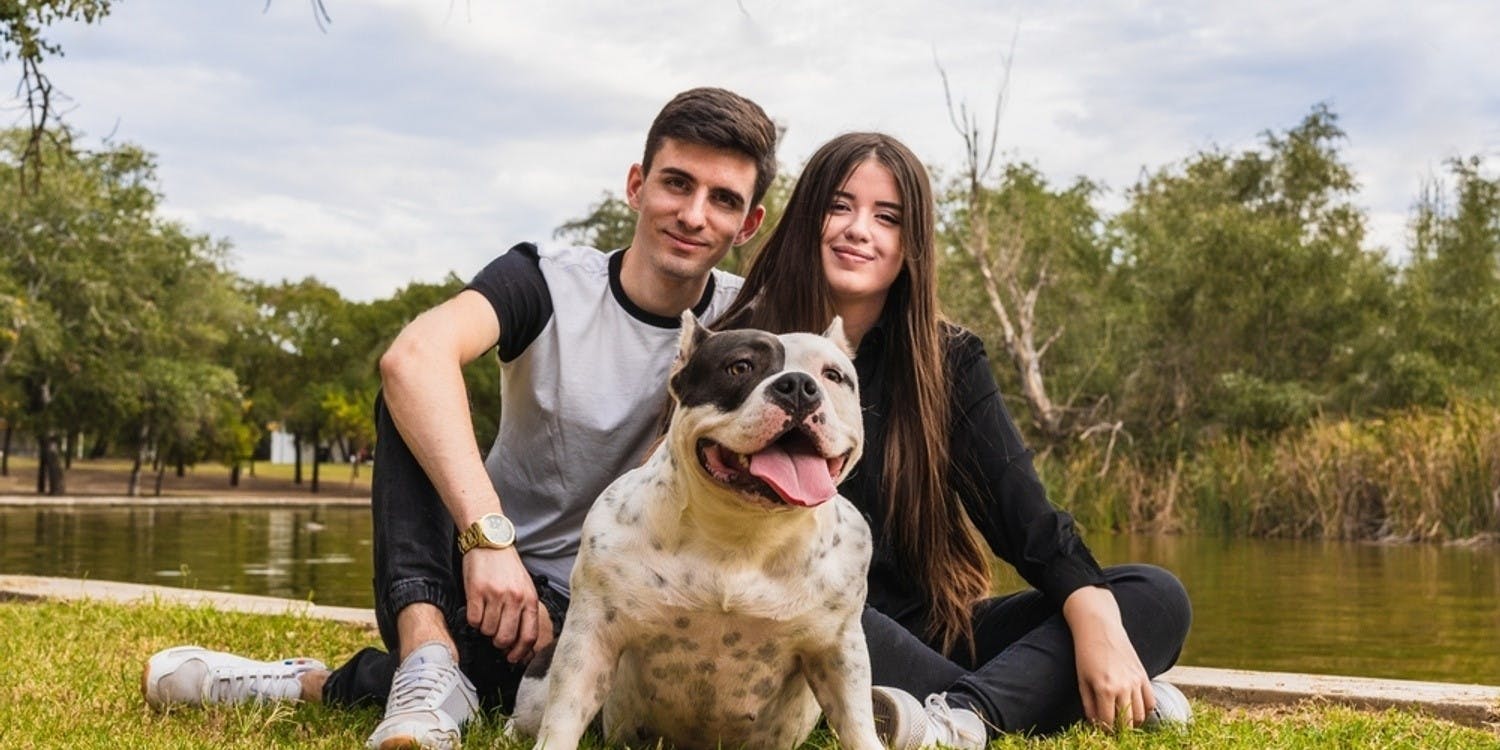 Is American Bully a Good Family Dog?