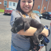 Young customer smiling and holding her puppy
