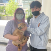 Mawoo couple holding newly received Shiba Inu puppy