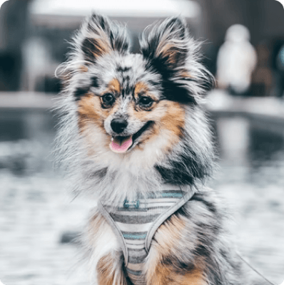 desktop landing cover