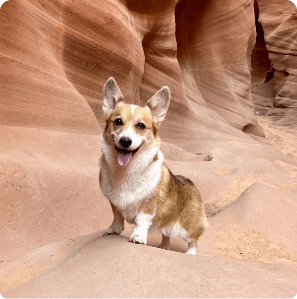 desktop landing cover