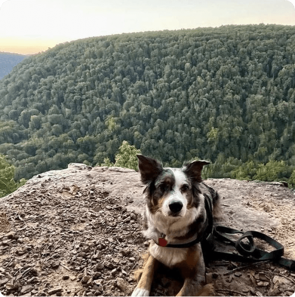 desktop landing cover