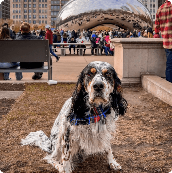 desktop landing cover