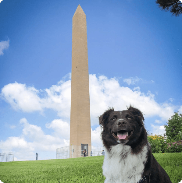 desktop landing cover