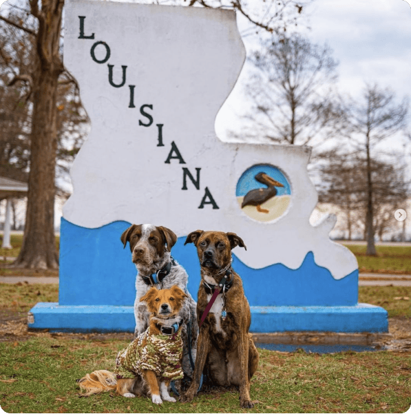 desktop landing cover