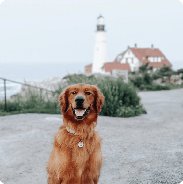 desktop landing cover