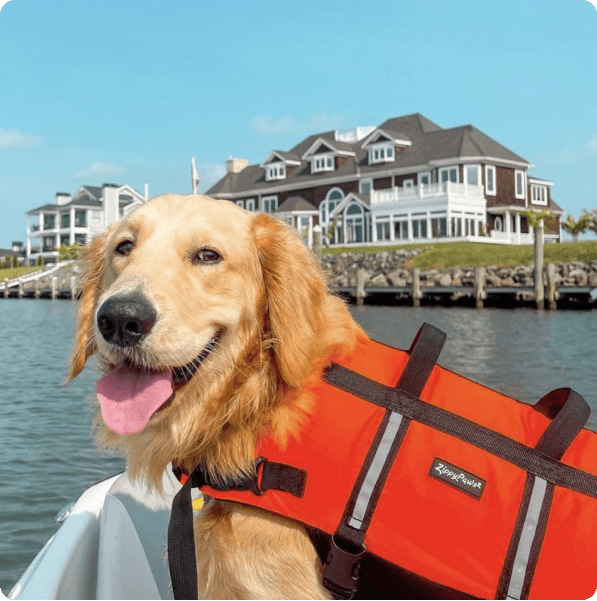 desktop landing cover