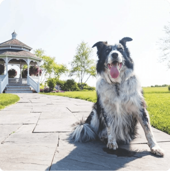 desktop landing cover