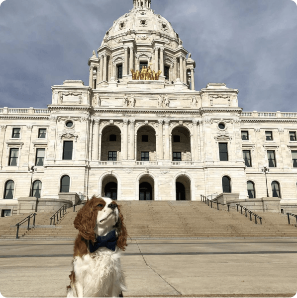 desktop landing cover