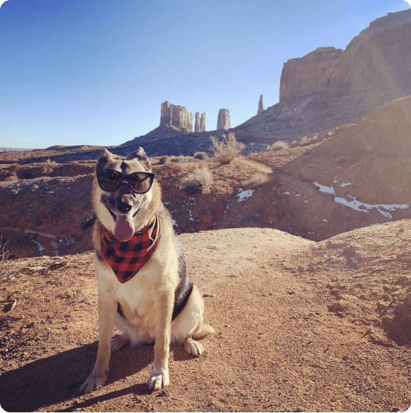 desktop landing cover