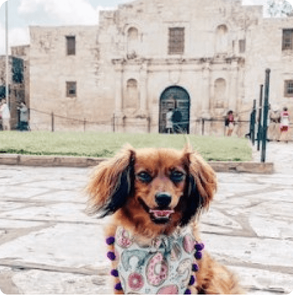 desktop landing cover