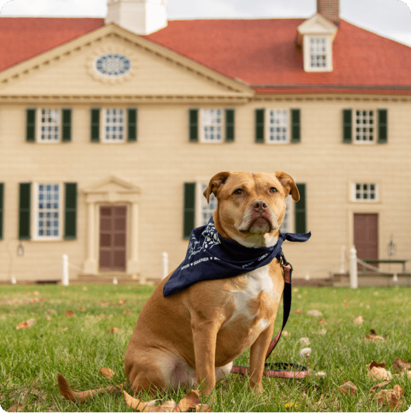 desktop landing cover