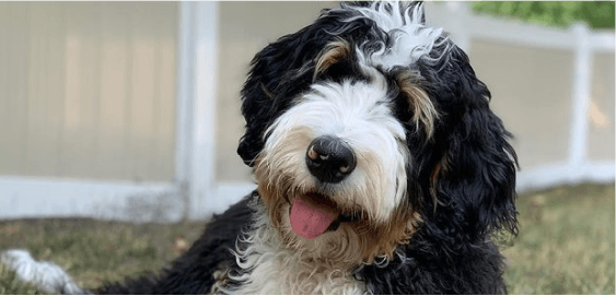 mobile landing cover image