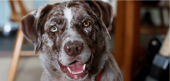 mobile landing cover image