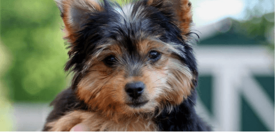 mobile landing cover image