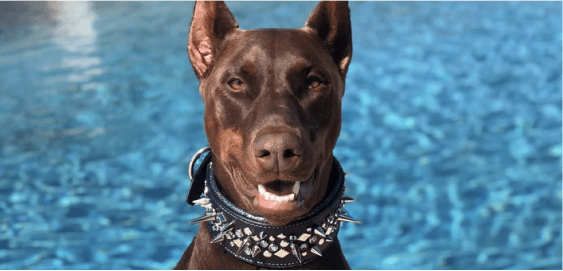 mobile landing cover image