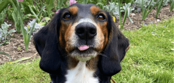 mobile landing cover image