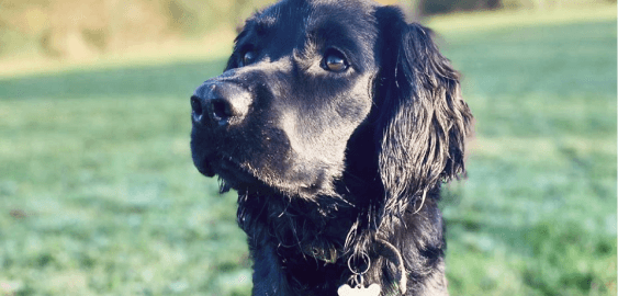 mobile landing cover image