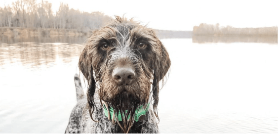 mobile landing cover image