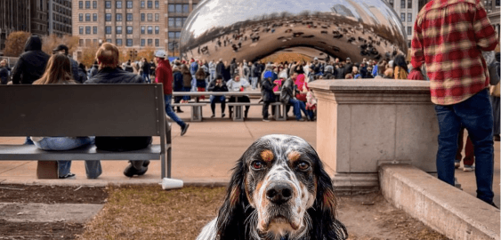 mobile landing cover image