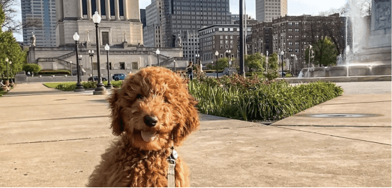 mobile landing cover image