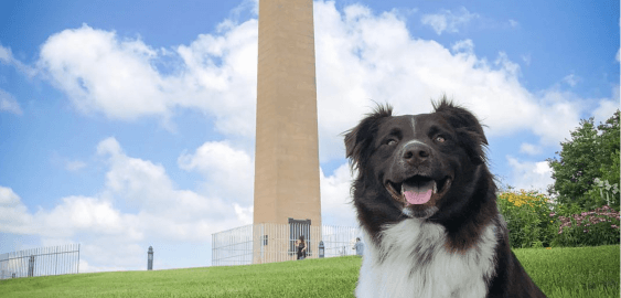 mobile landing cover image