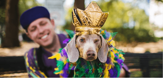 mobile landing cover image