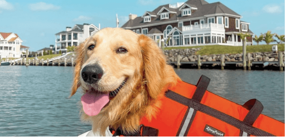 mobile landing cover image