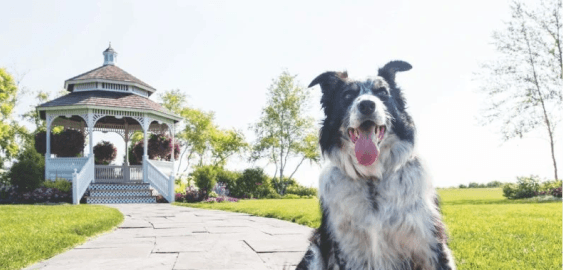 mobile landing cover image