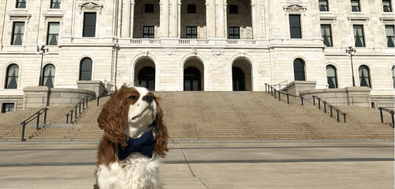 mobile landing cover image