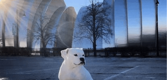 mobile landing cover image